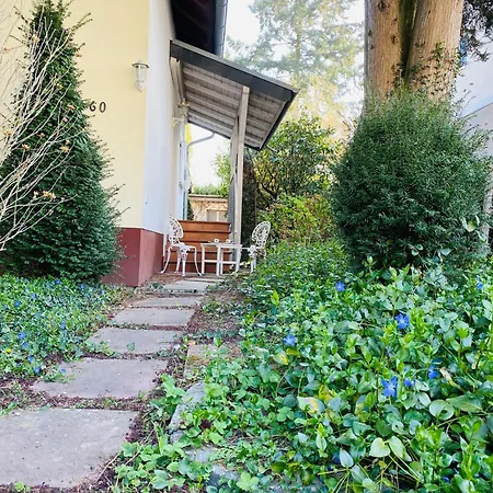 Inge's Arthouse Bei Frankfurt Apartment *